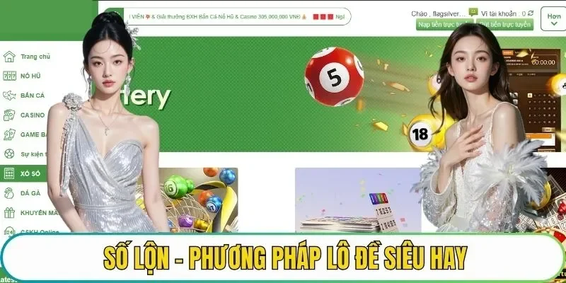 số lộn là gì